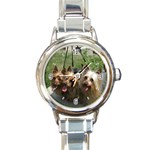 Silky Terrier Dogs Round Italian Charm Watch