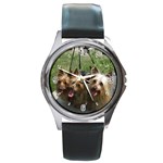 Silky Terrier Dogs Round Metal Watch