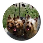 Silky Terrier Dogs Round Mousepad