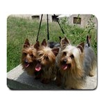 Silky Terrier Dogs Large Mousepad