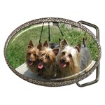 Silky Terrier Dogs Belt Buckle