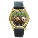 Silky Terrier Dogs Round Gold Metal Watch