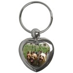 Silky Terrier Dogs Key Chain (Heart)