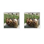 Silky Terrier Dogs Cufflinks (Square)