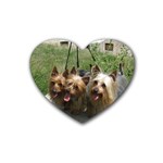 Silky Terrier Dogs Heart Coaster (4 pack)