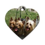 Silky Terrier Dogs Dog Tag Heart (One Side)