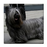 Skye Terrier Dog Tile Coaster