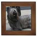 Skye Terrier Dog Framed Tile