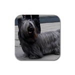 Skye Terrier Dog Rubber Square Coaster (4 pack)