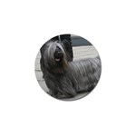 Skye Terrier Dog Golf Ball Marker (10 pack)