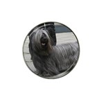 Skye Terrier Dog Hat Clip Ball Marker (10 pack)