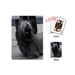 Skye Terrier Dog Playing Cards (Mini)