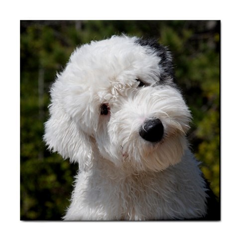 Old English Sheepdog Tile Coaster from ArtsNow.com Front