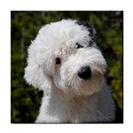 Old English Sheepdog Tile Coaster