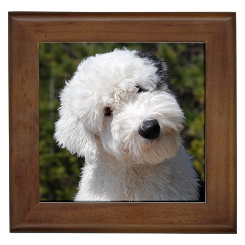 Old English Sheepdog Framed Tile from ArtsNow.com Front