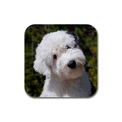 Old English Sheepdog Rubber Square Coaster (4 pack) from ArtsNow.com Front