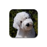 Old English Sheepdog Rubber Square Coaster (4 pack)