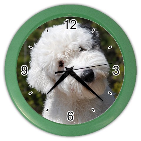 Old English Sheepdog Color Wall Clock from ArtsNow.com Front