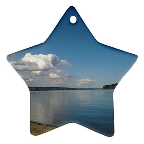 Puget Sound Ornament (Star) from ArtsNow.com Front