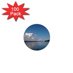 Puget Sound 1  Mini Button (100 pack) 