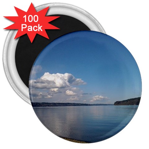 Puget Sound 3  Magnet (100 pack) from ArtsNow.com Front