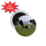 Dairy Farm 1.75  Magnet (10 pack) 