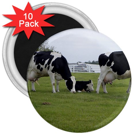 Dairy Farm 3  Magnet (10 pack) from ArtsNow.com Front