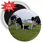 Dairy Farm 3  Magnet (100 pack)