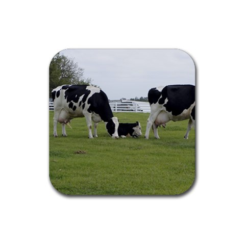 Dairy Farm Rubber Coaster (Square) from ArtsNow.com Front