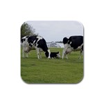 Dairy Farm Rubber Square Coaster (4 pack)