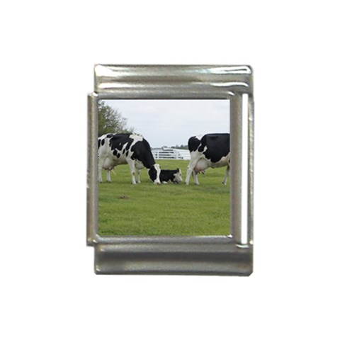 Dairy Farm Italian Charm (13mm) from ArtsNow.com Front