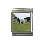 Dairy Farm Italian Charm (13mm)