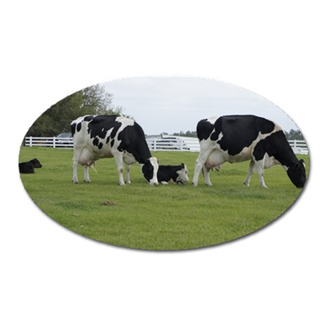 Dairy Farm Magnet (Oval) from ArtsNow.com Front