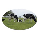 Dairy Farm Magnet (Oval)