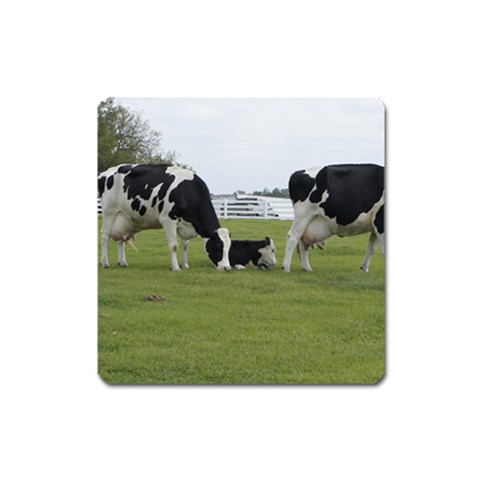 Dairy Farm Magnet (Square) from ArtsNow.com Front