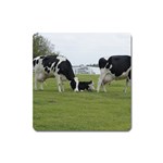 Dairy Farm Magnet (Square)