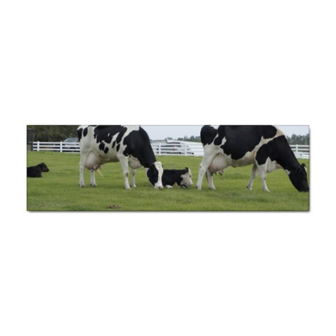 Dairy Farm Sticker Bumper (10 pack) from ArtsNow.com Front