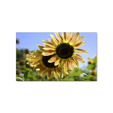 Double Sun Sticker Rectangular (10 pack) from ArtsNow.com Front