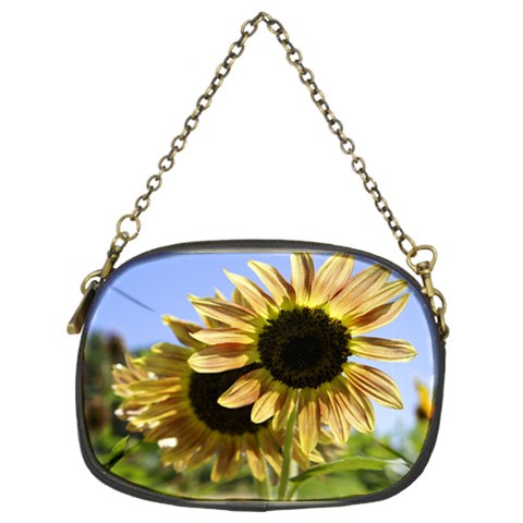 Double Sun Chain Purse (Two Sides) from ArtsNow.com Front