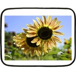 Double Sun Mini Fleece Blanket(Two Sides)