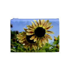 Double Sun Cosmetic Bag (Medium) from ArtsNow.com Front