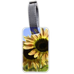 Double Sun Luggage Tag (two sides) from ArtsNow.com Front