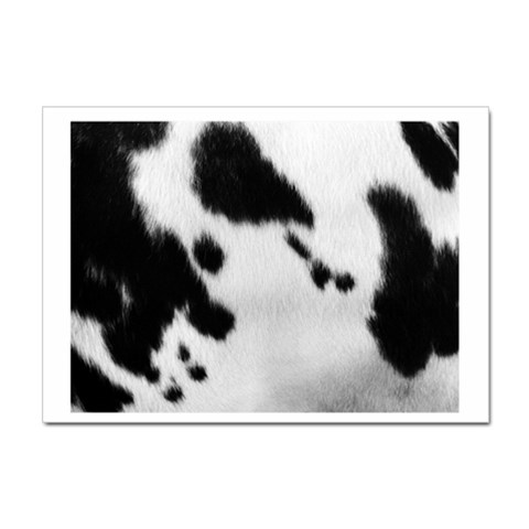 Cow Print	 Sticker A4 (100 pack) from ArtsNow.com Front