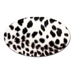 Snow Leopard	 Magnet (Oval)