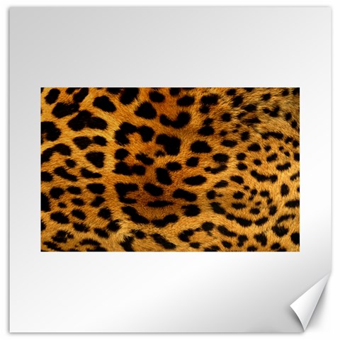 Jaguar Print	Canvas 16  x 16  from ArtsNow.com 15.2 x15.41  Canvas - 1