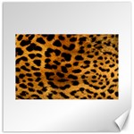 Jaguar Print	Canvas 16  x 16 