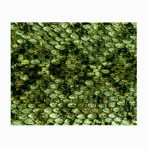 Snake Print	 Glasses Cloth (Small) from ArtsNow.com Front