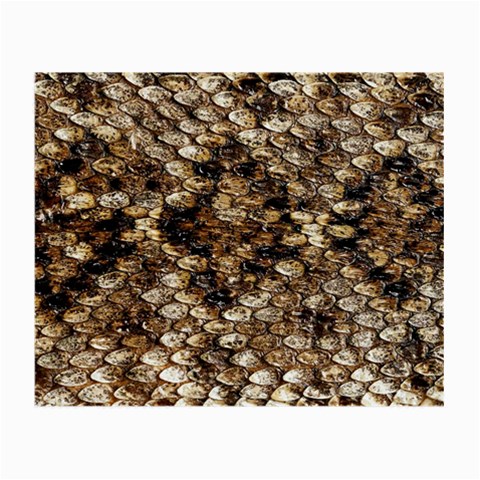 Snake Print	 Glasses Cloth (Small from ArtsNow.com Back