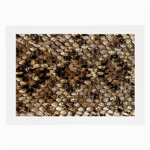 Snake Print	 Glasses Cloth (Large from ArtsNow.com Front