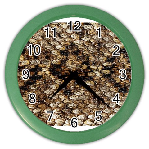 Snake Print	 Color Wall Clock from ArtsNow.com Front